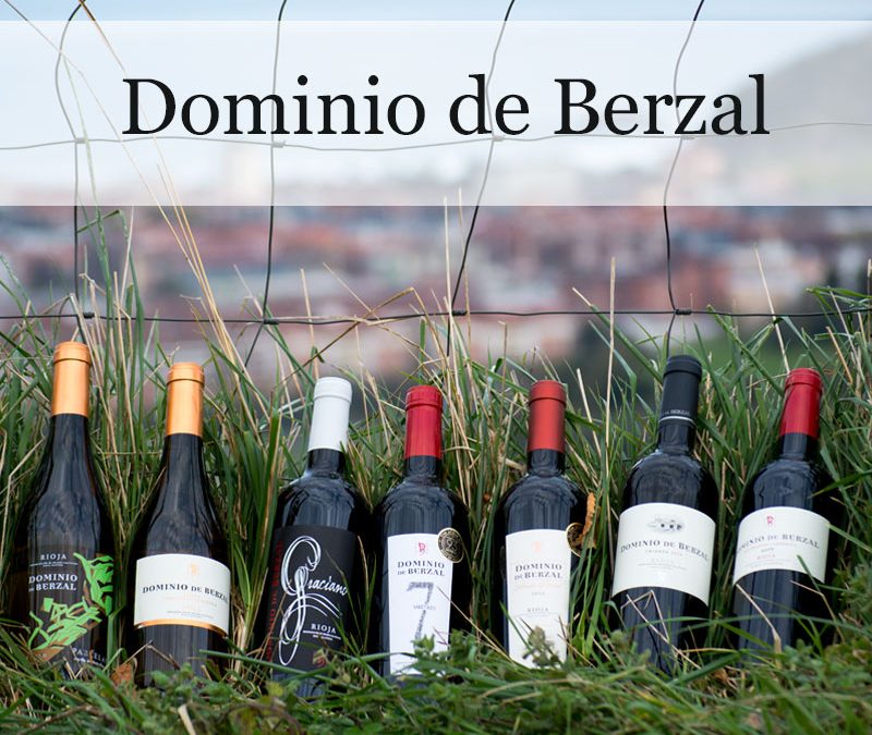 Dominio de Berzal